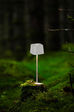 Lampe_skog